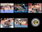 ADCC Italia Copyright�